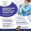 plakat zaszczep pupila